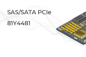 IBM ServeRAID M5110 SAS/SATA
