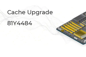 IBM ServeRAID M5100 Cache/RAID 5 Upgrade