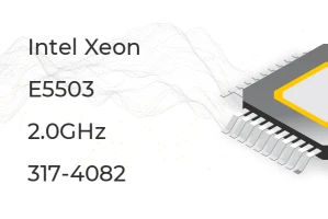 Dell Intel Xeon E5503 2.0GHz