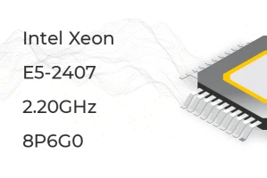 Dell Intel Xeon E5-2407 2.20GHz